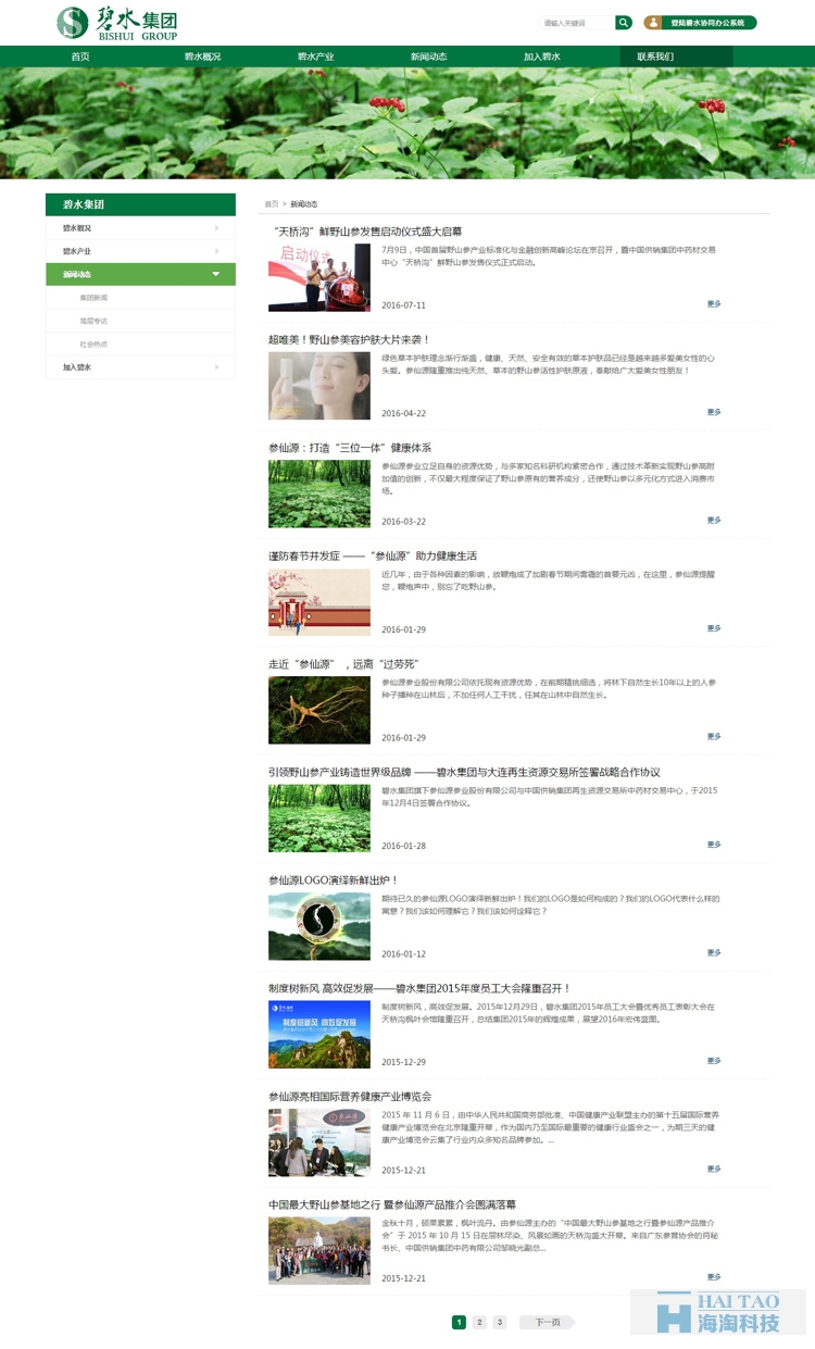 碧水集團(tuán)旅游網(wǎng)站的建設(shè),上海旅游公司網(wǎng)站建設(shè),旅游行業(yè)網(wǎng)站建設(shè)