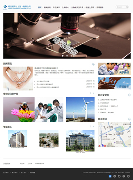 昭遠制藥網(wǎng)站建設(shè)案例,醫(yī)藥行業(yè)網(wǎng)站設(shè)計案例,醫(yī)藥網(wǎng)站制作案例